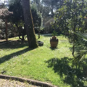 Old Town In The Green: Federico's Apartment. Appartement